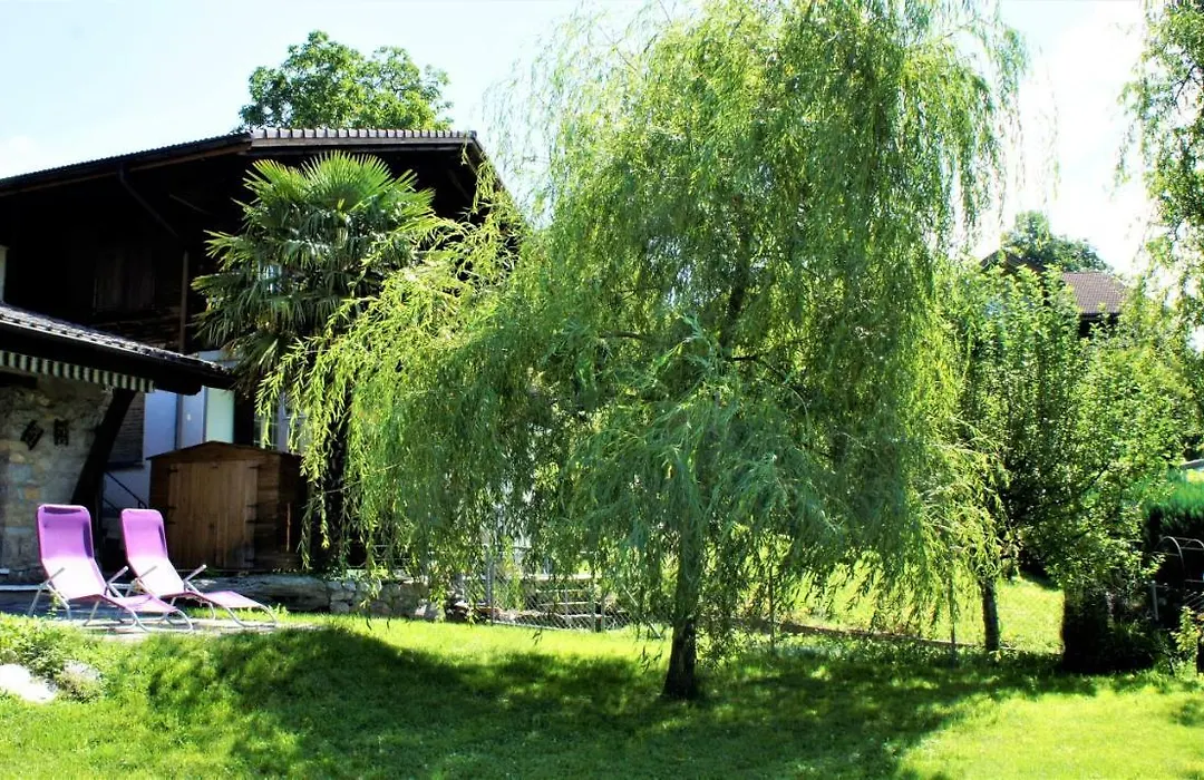 B & B Brienz-1